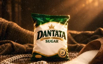 Zinoleesky - Dantata