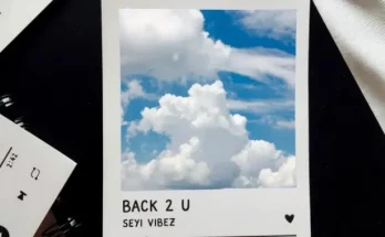 Seyi Vibez - BACK 2 U