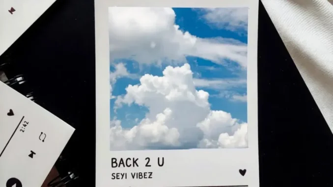 Seyi Vibez - BACK 2 U
