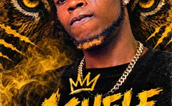 Egba tiger mp3 download