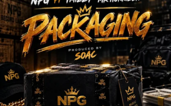 Tmizzy Mrhorrizen mp3 download