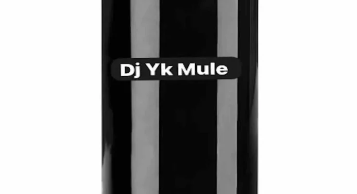 Dj Yk mp3 download