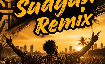 Dj Shaolin mp3 download