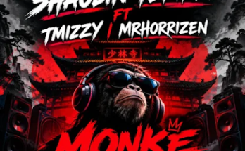 Dj Shaolin mp3 download